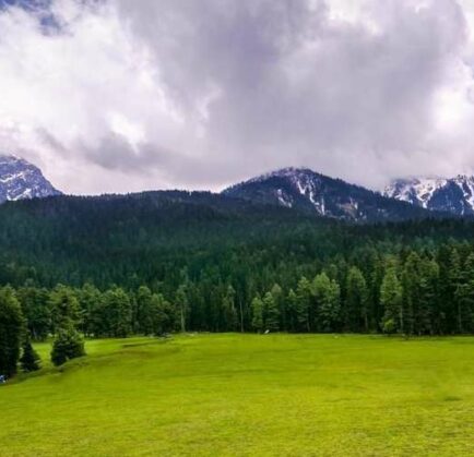 Baisaran Valley Pahalgam